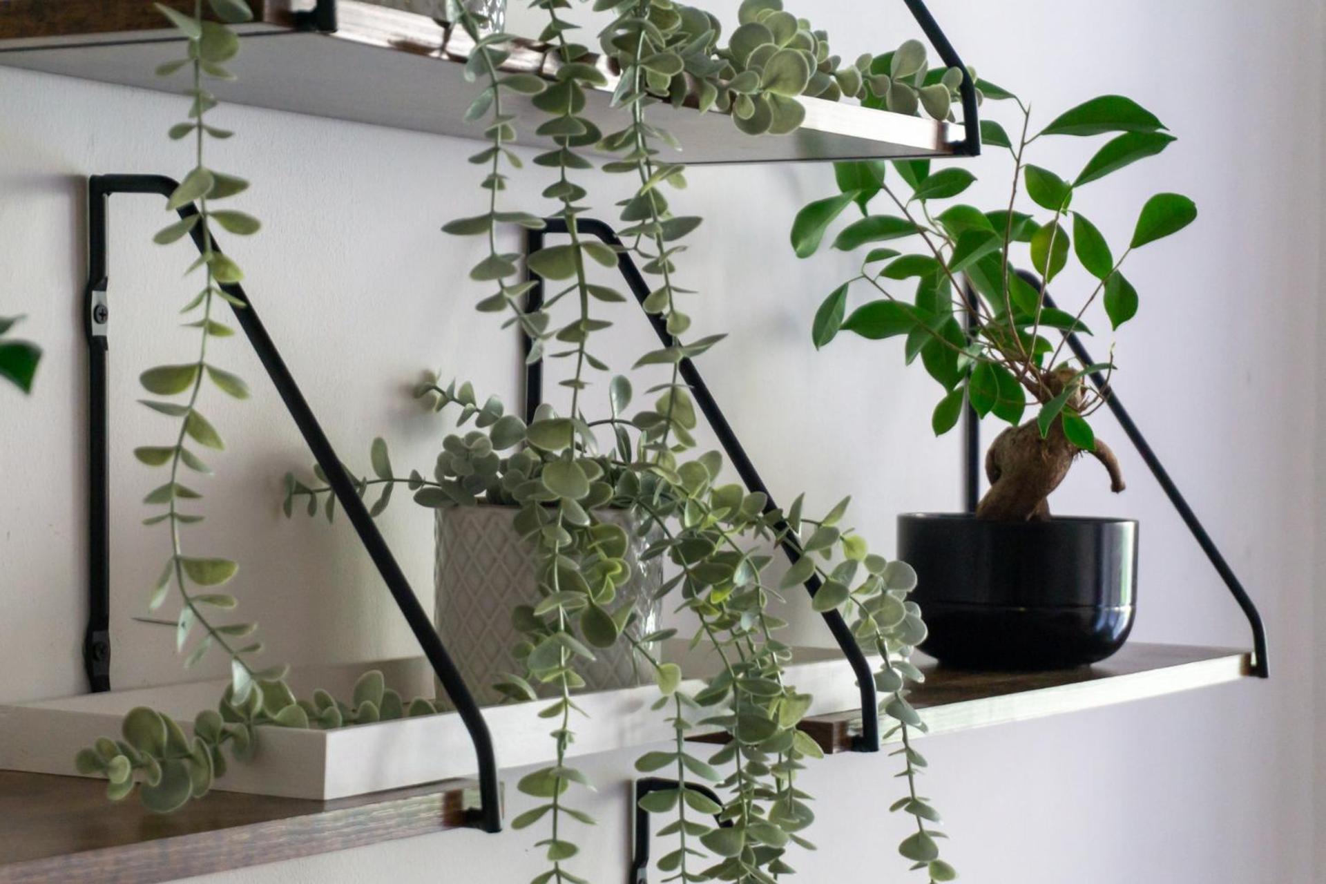 Apartment With Garden Close To Stadthalle, Westbahnhof Wina Bagian luar foto